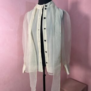 Camisa Zara Transparente (Desapego)